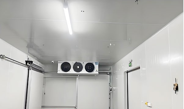 upload/20241203170724.png
